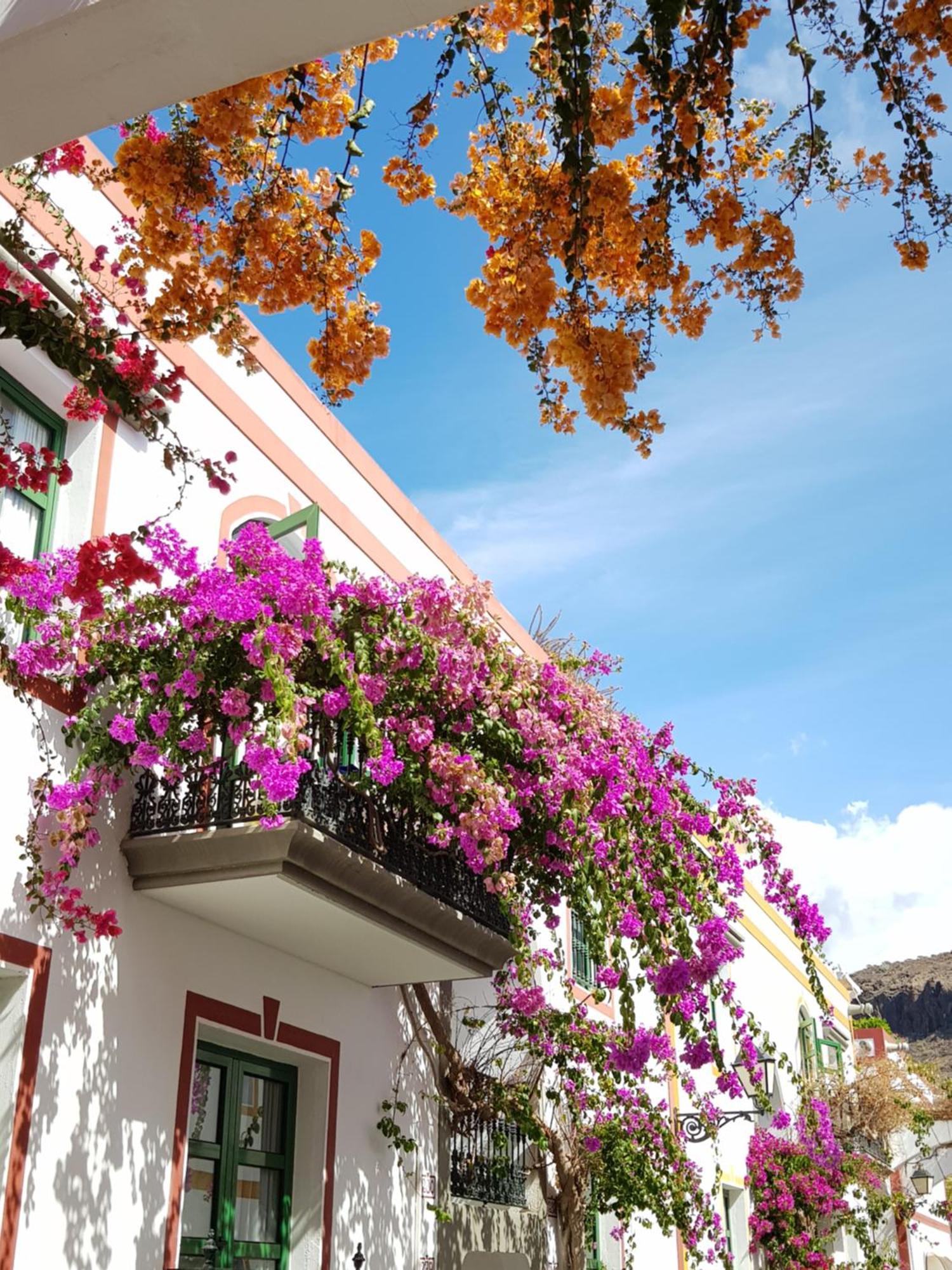 Villa Diana With Private Swimming Pool In Tauro Mogán Exterior foto
